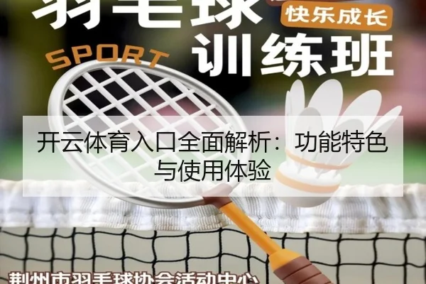 开云体育入口全面解析：功能特色与使用体验